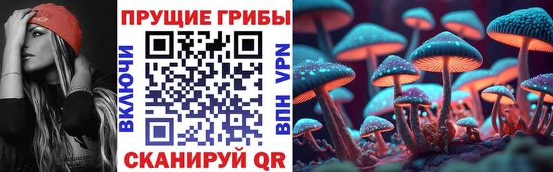 купить наркоту  Руза  Псилоцибиновые грибы Psilocybine cubensis 