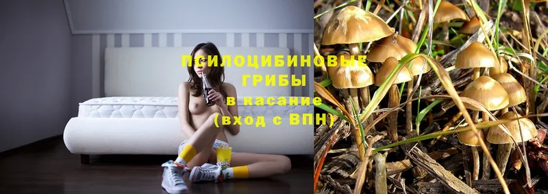 Псилоцибиновые грибы Magic Shrooms  Руза 